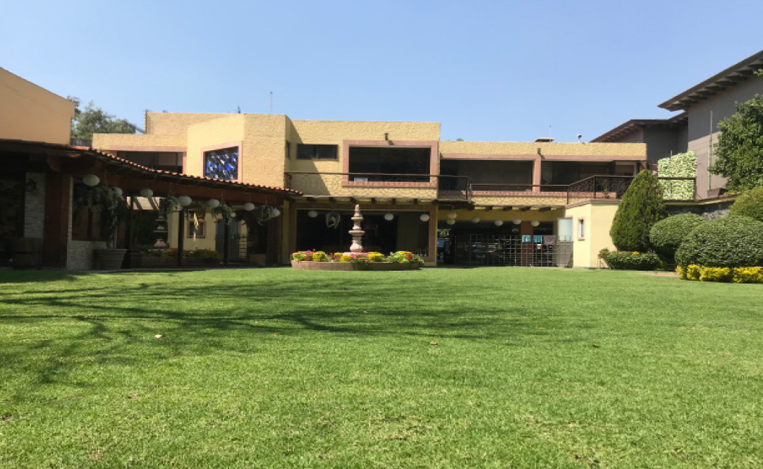 GEOBIOLOGÍA PEDREGAL SAN ÁNGEL, CDMX, México project image P1